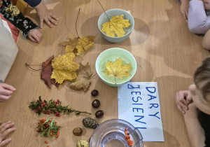 Na stole leżą dary jesieni. Są trzy miseczki z wodą: w pierwszej żółty liść, w drugiej mniejszy, żółty liść, w trzeciej jarzębina. Dzieci obserwują jak zachowują się te produkty na wodzie.