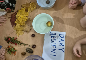 Dzieci stoją dookoła stołu. Dzieci obserwują, że w pierwszej miseczce kasztan zatonął, w drugiej skórka z kasztana nie zatonęła, w trzeciej jarzębina unosi się na wodzie.