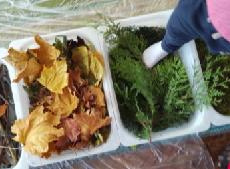 Warsztaty sensoryczne.