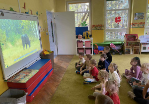 dzieci dowiadują się o życiu żubrów oglądając film o zwierzętach