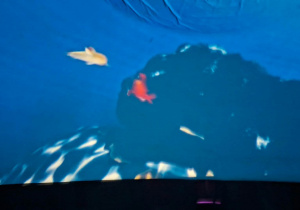 Dzieci oglądają pokaz pt Oceanarium w kinie sferycznym