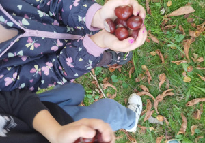 Dzieci trzymają zebrane kasztany